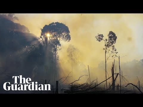The 2019 fires