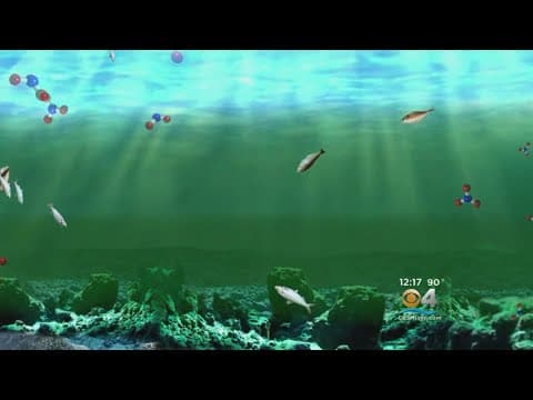 Ocean dead zones