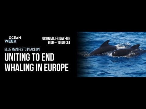 Webinar Recording: Uniting to End Whaling in Europe