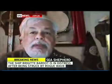 Sea Shepherd vessel makes distress call