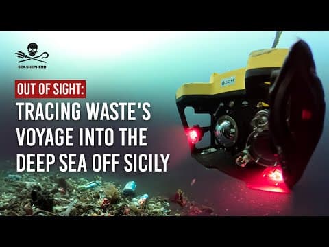 Out of Sight: Tracing Waste's Voyage Into The Deep Sea Off Sicily