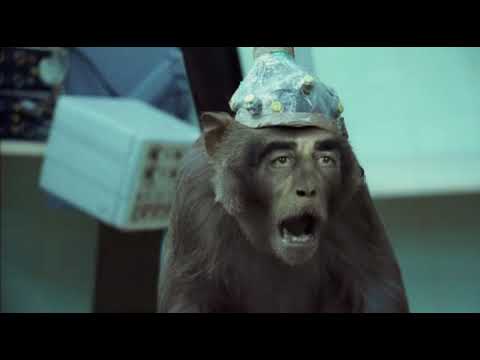 Basement Jaxx - Where's Your Head At