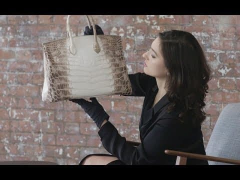 The Hermès Himalaya Birkin: Deconstructed | Christie's