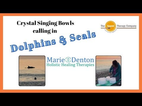 WOW ! - Crystal Singing Bowls call in Dolphins and Seals - Sunrise Sound Bath Session - Isle of Man