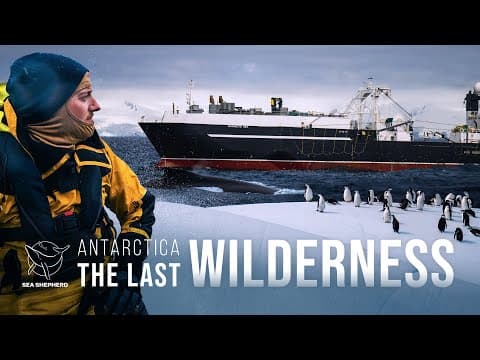 Antarctica: The Last Wilderness