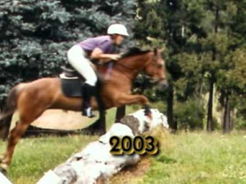 Desert Song ~ New Zealand Wild Kiamanawa Horse