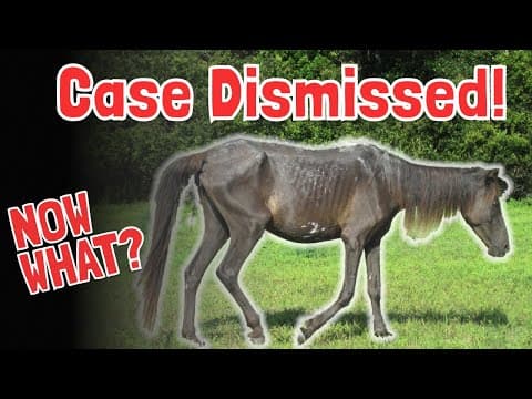What Can Save Cumberland Island's Wild Horses?