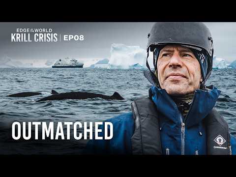 They Used to be the Biggest in the Ocean | Edge of the World: Krill Crisis | EP8