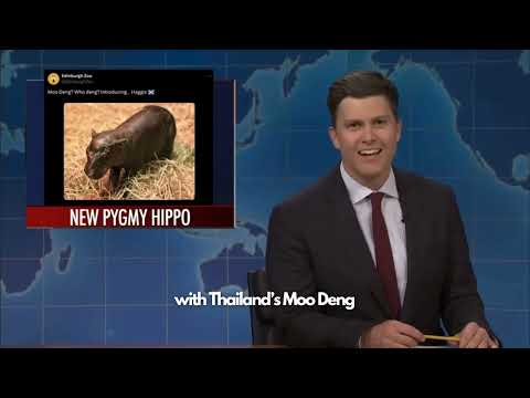 SNL joins in on rivalry between baby pygmy hippos Haggis and Moo Deng