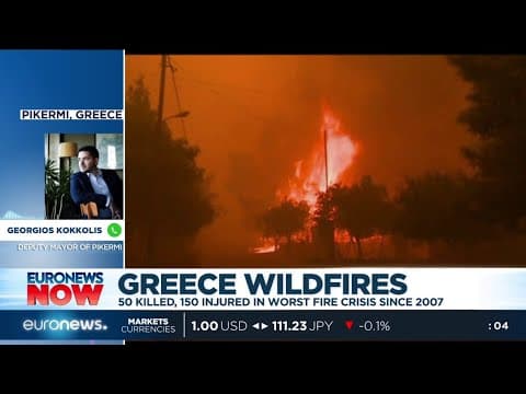 The 2007 Greek wildfires