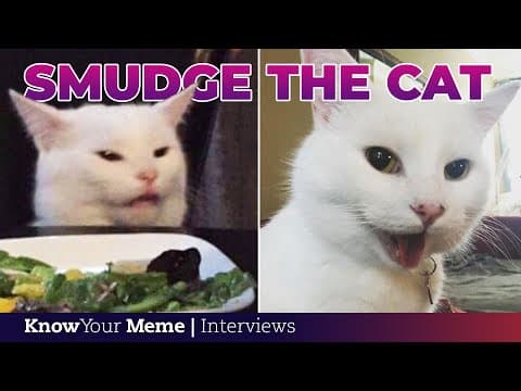 Smudge the Cat's owner on the 'Woman Yelling at a Cat' meme