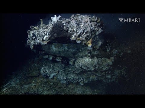Revealing the stunning landscapes of deep-sea hydrothermal vents