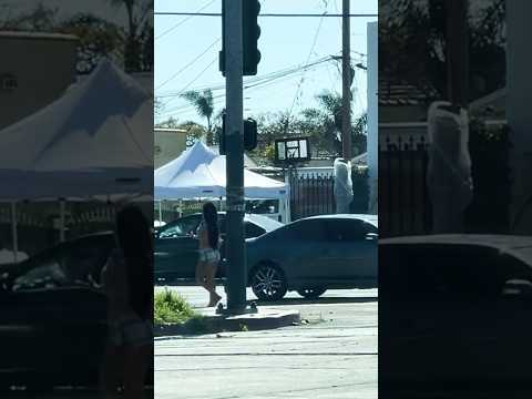 Los Angeles street tours (modern)