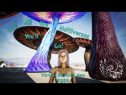 The Multiverse — virtual Burning Man, 2020