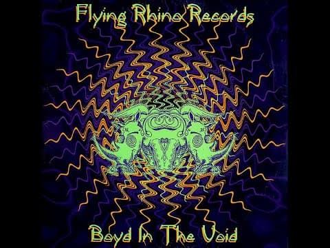 Boyd In The Void [Full Compilation] Flying Rhino Records (1995) [Goa Trance, Acid Trance]