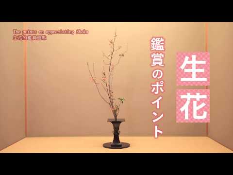 How to Look at Ikebana: The Shoka Style