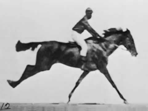 "Sallie Gardner at a Gallop" or "The Horse in Motion" (Eadweard Muybridge, 1878)