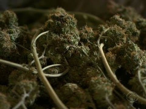 Washington's Legal Weed Shops Face a Supply Shortage
