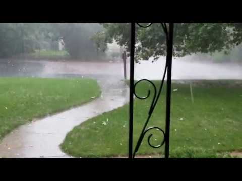 The Colorado Springs zoo hailstorm