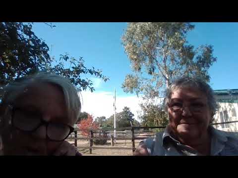 The Road ahead for HOOFS2010 Inc and Brumby Genetic Preservation for the future