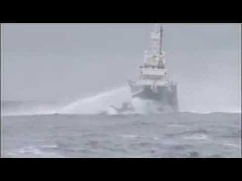 New footage: Ady Gil crash