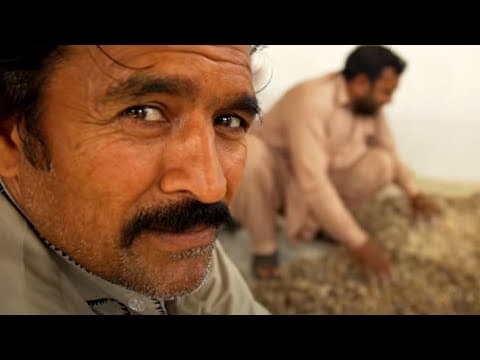 Discover Frankincense from the heart of Oman | Neal's Yard Remedies