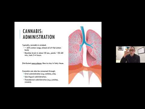 Cannabis and mental health: a neuroscience lecture