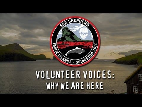 Operation GrindStop 2014: Volunteer Voices