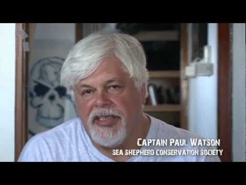 Captain Paul Watson, on Bluefin Tuna