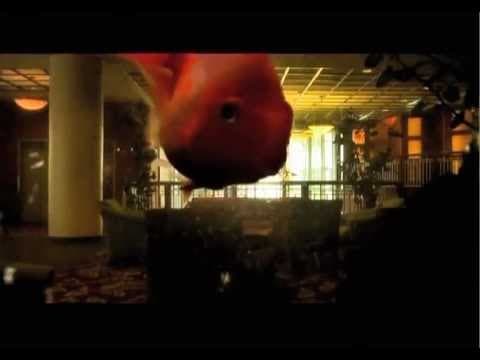 The Notwist: Good Lies