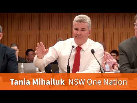 I questioned NSW Labor's decision to introduce aerial shooting of brumbies in Kosciuszko Nat. Park