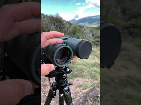 SWAROVSKI OPTIK SLC 15x56