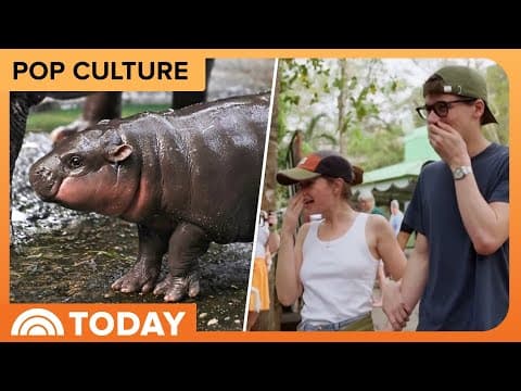'White Lotus' S3 cast is starstruck meeting Moo Deng in Thailand