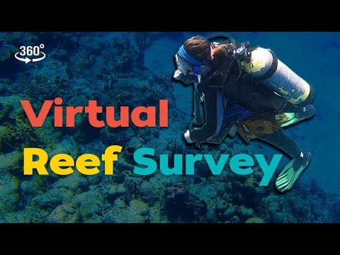 360 video of coral reef scientists at work!