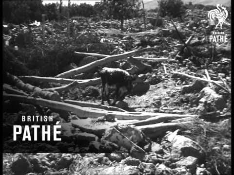 The 893 Ardabil earthquake