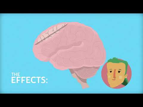 Cannabis and the endocannabinoid system explained