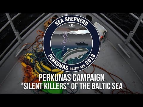 Perkunas Campaign: Silent Killers of the Baltic Sea