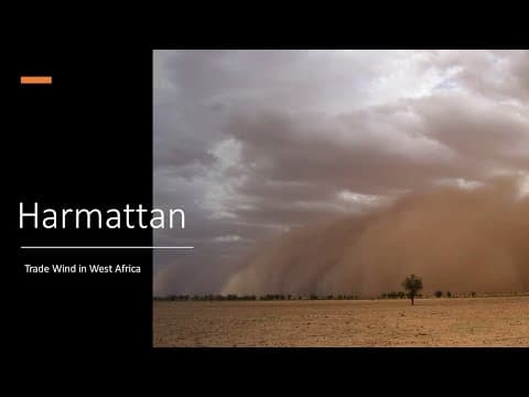 The Harmattan