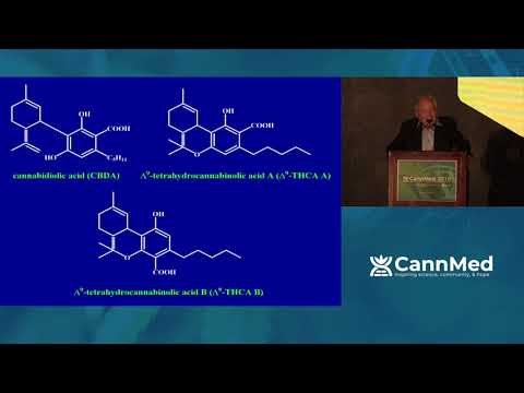 Mechoulam keynote: the chemistry behind cannabinoid acids