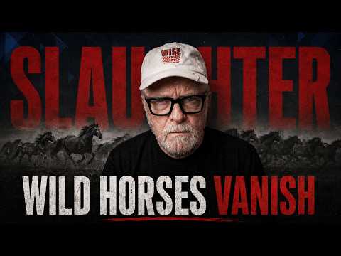 America’s Mustangs: The Sale, the Loophole, and the Slaughter Pipeline