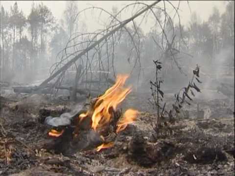 The 2010 Russian heatwave & fires