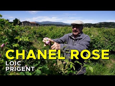 THE FARMER OF THE CHANEL ROSE! By Loic Prigent