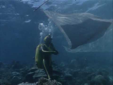 The Water Planet, Episode 13 of 37, Jacques Cousteau Odyssey. The real Life Aquatic