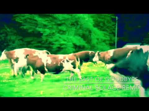 Moby - The Last of Goodbyes (Criminal Solace Remix)
