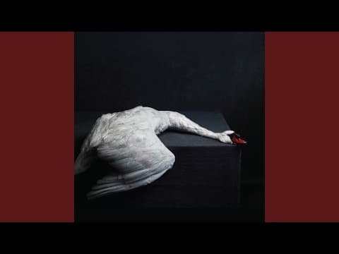 Amenra — "A Solitary Reign"