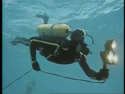 The Sleeping Sharks of Yucatán, 33 of 37, Jacques Cousteau Odyssey. The real Life Aquatic