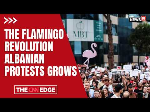 CNN-News18: the Flamingo Revolution grows