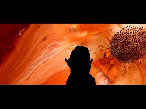 ARSENAL - AMPLIFY