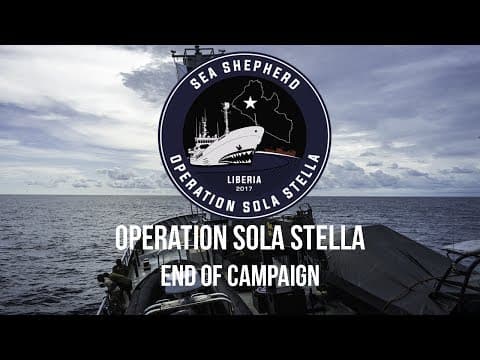 Operation Sola Stella: Campaign Wrap