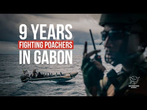 9 YEARS FIGHTING POACHERS IN GABON - Operation Albacore